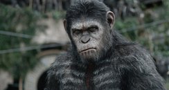 dawn of the planet of the apes
