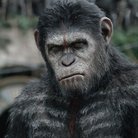 dawn of the planet of the apes