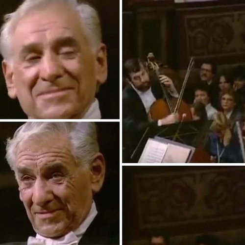 leonard bernstein eyebrows