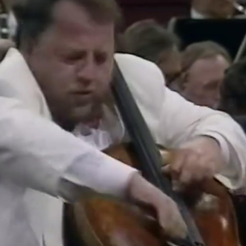 heinrich schiff plays shostakovich