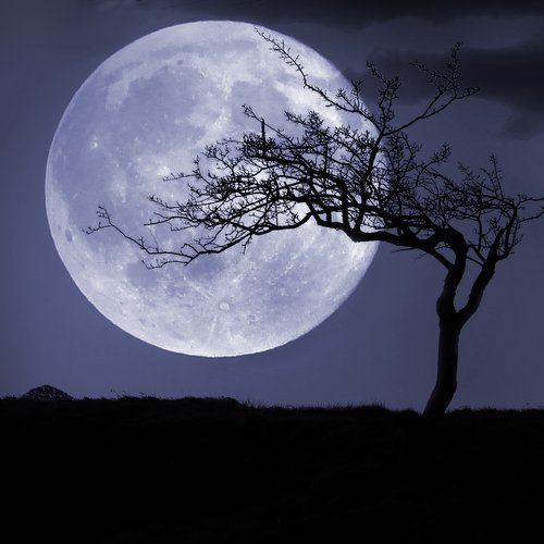 Beethoven Moonlight Sonata
